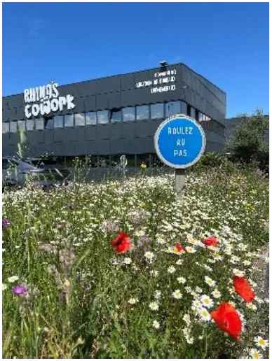 Prairie de marguerites et de coquelicots devant un bâtiment sombre portant l’enseigne RHINOS COWORK, avec un panneau « ROULEZ AU PAS ».